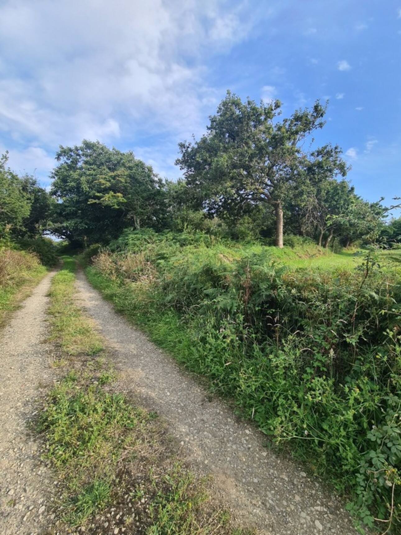 Photos 3 - Foncière - Terrain à vendre  CROZON (29)