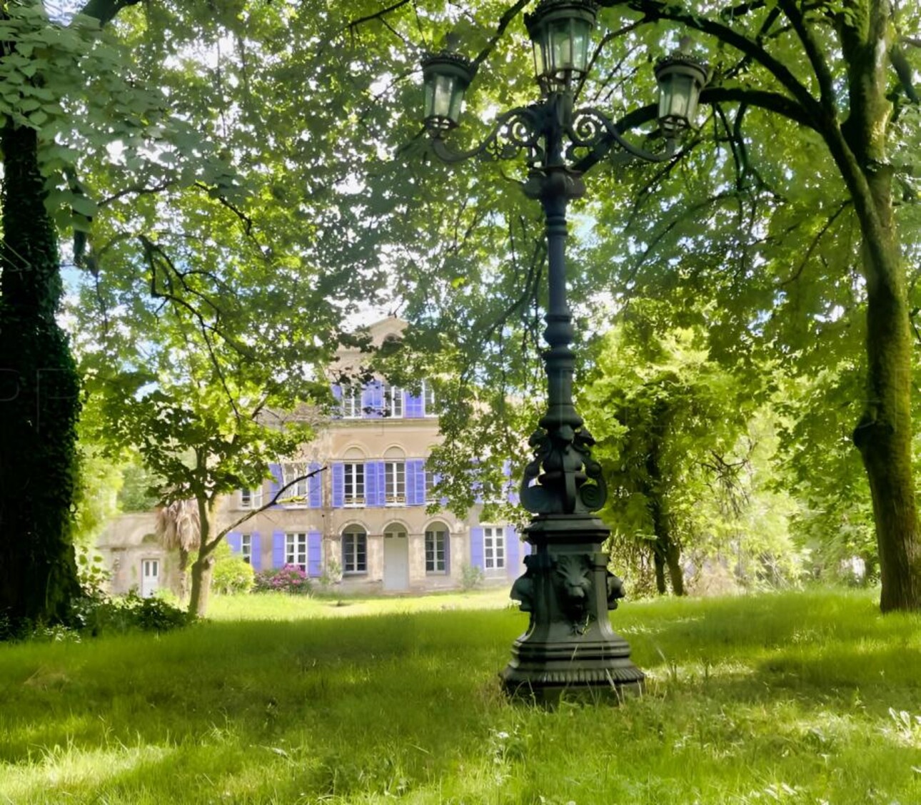 Photos 3 - Prestigious - LANDES CHATEAU XIXème 12 HA