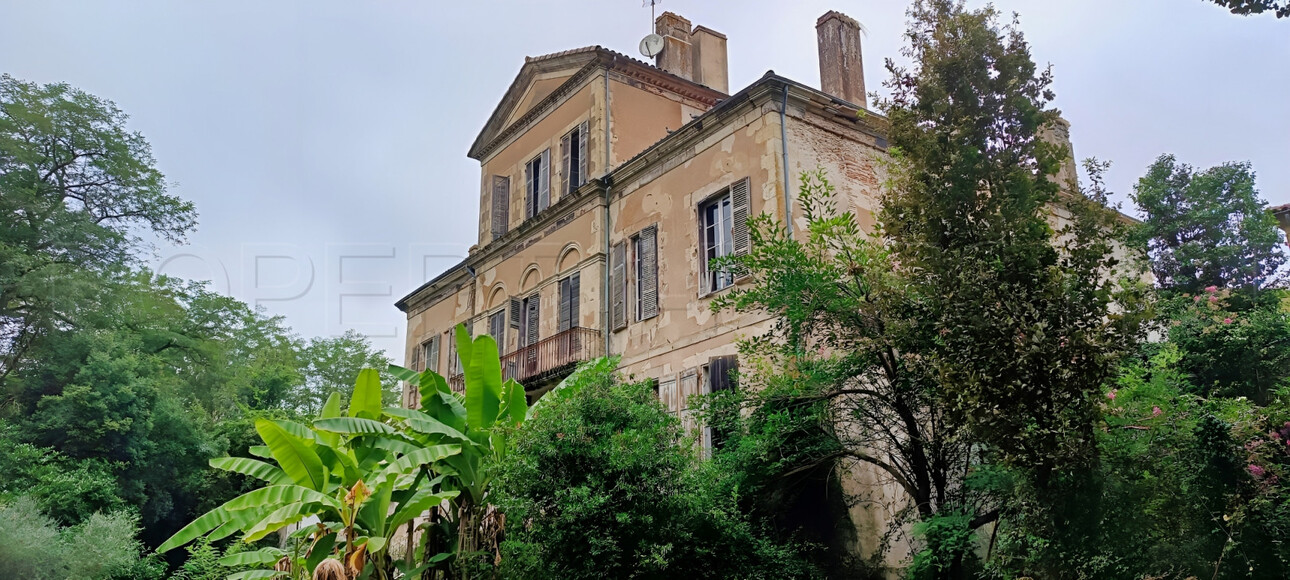 Photos 5 - Prestige - LANDES CHATEAU XIXème 12 HA