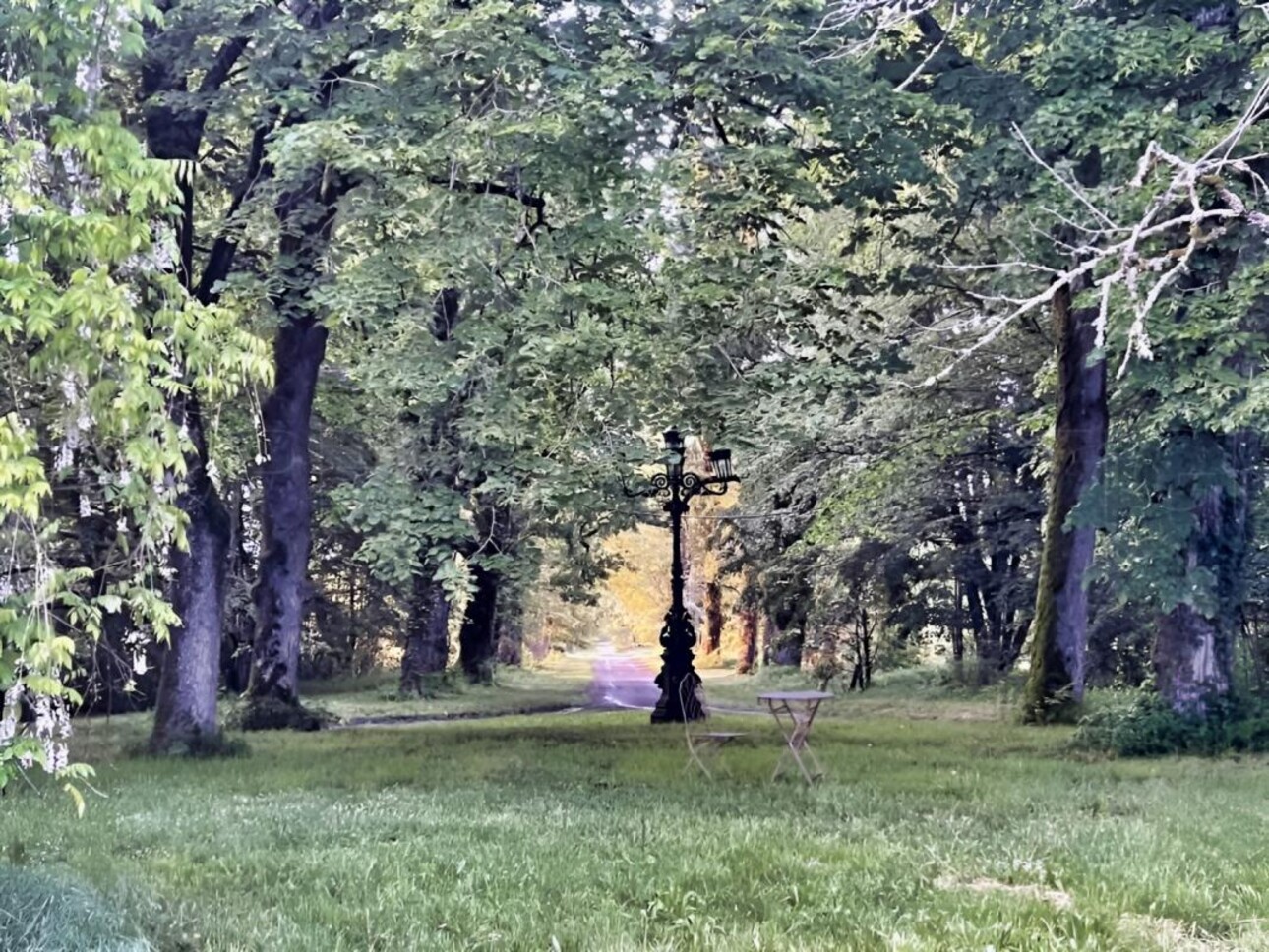 Photos 6 - Prestigious - LANDES CHATEAU XIXème 12 HA