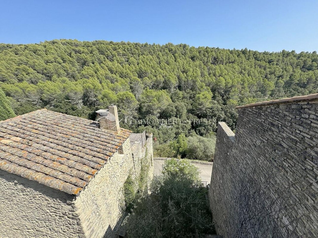 Photos 2 - Prestige - A Saumane de Vaucluse, une maison de village