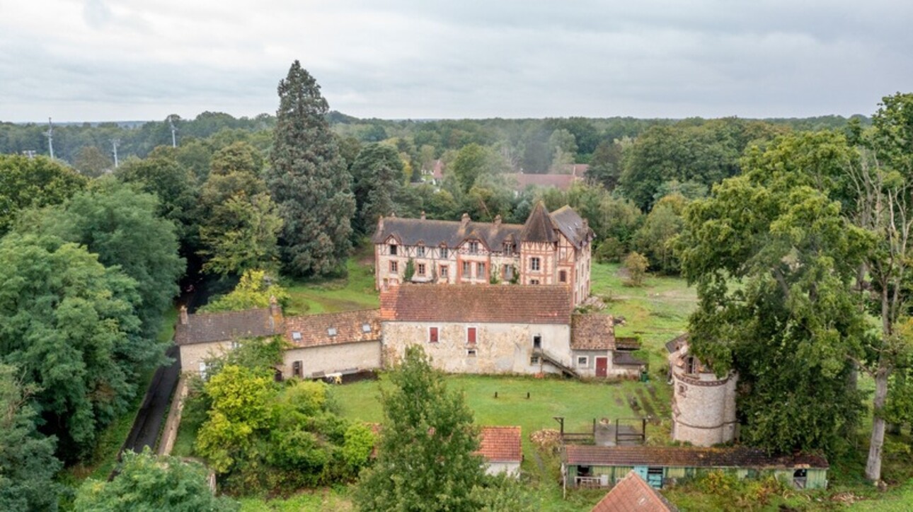 Photos 8 - Prestigious - Château à vendre 15 pièces CLAIREFONTAINE EN YVELINES (78)