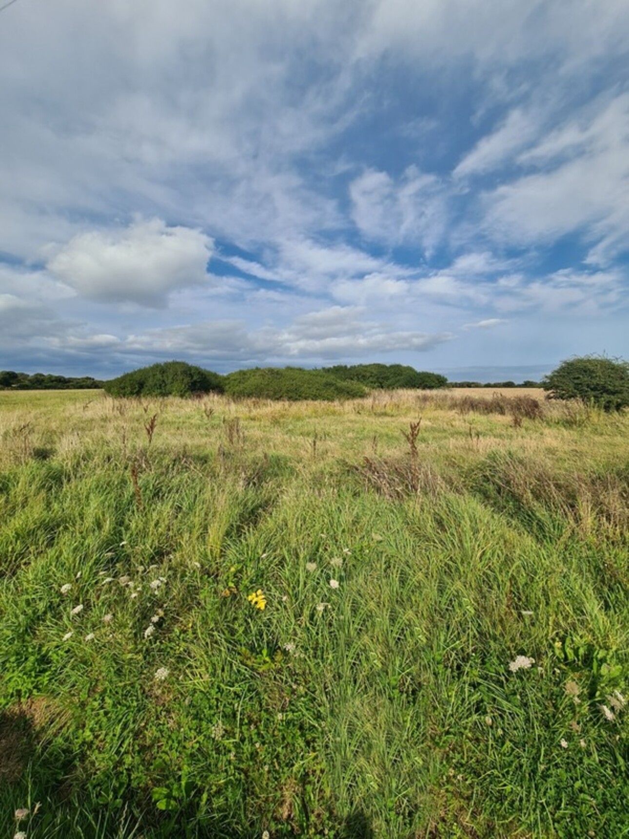 Photos 1 - Foncière - Terrain à vendre  CROZON (29)