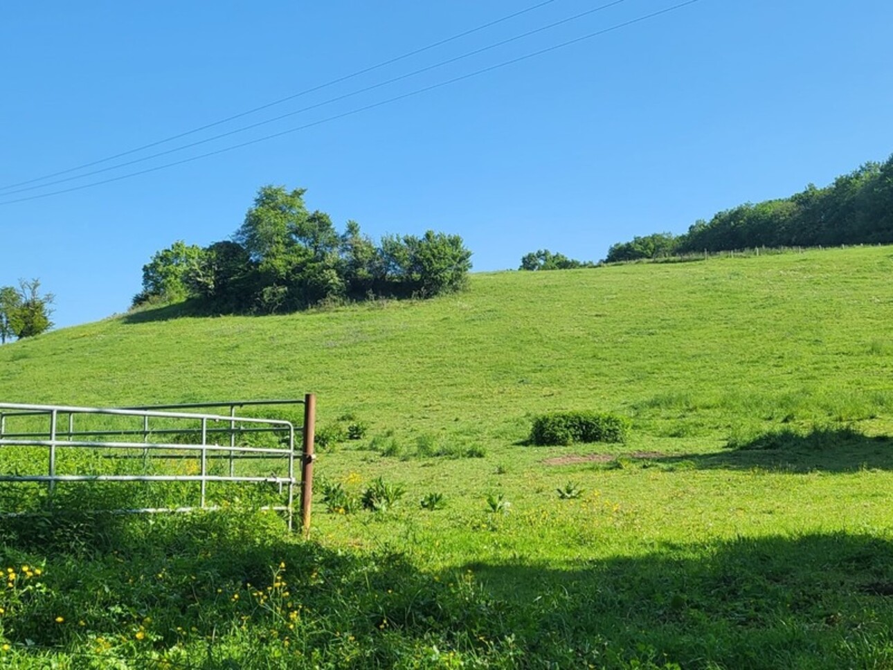 Photos 2 - Equestrian - Terrain agricole sur 6 hectares, bois, sources, compteur électrique et eau, clos, abri animaux, chevaux