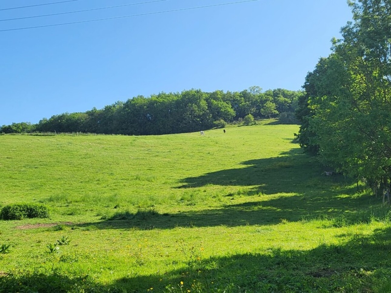 Photos 3 - Equestrian - Terrain agricole sur 6 hectares, bois, sources, compteur électrique et eau, clos, abri animaux, chevaux