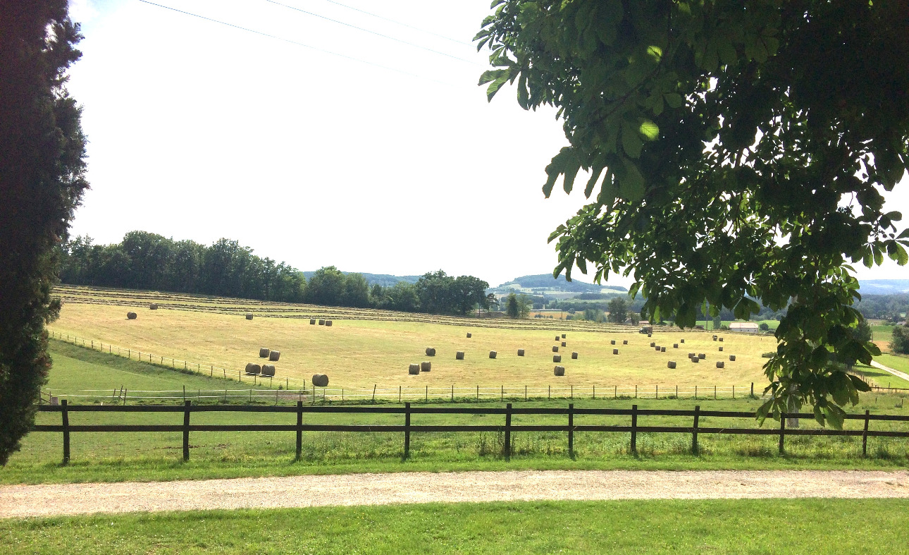 Photos 3 - Agricultural - La Baronnie, Domaine clos, vacances, chevaux, chasse, quad