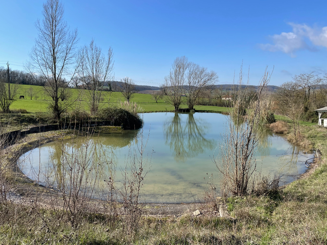 Photos 8 - Agricultural - La Baronnie, Domaine clos, vacances, chevaux, chasse, quad