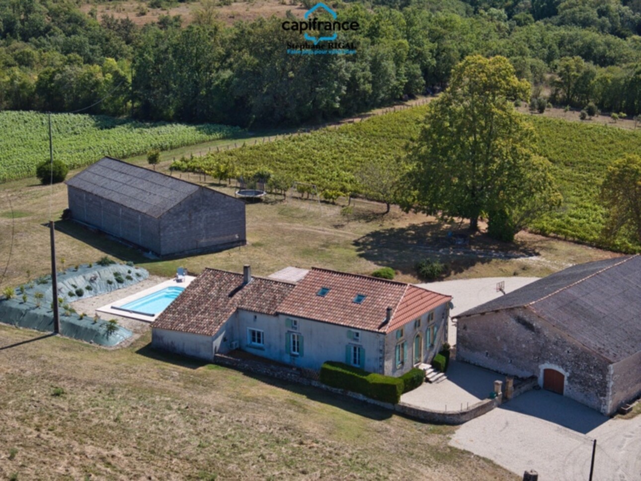 Photos 26 - Touristique - Maison à vendre 6 pièces et dépendances proche de MONFLANQUIN (47) sur 2,6ha de terrain