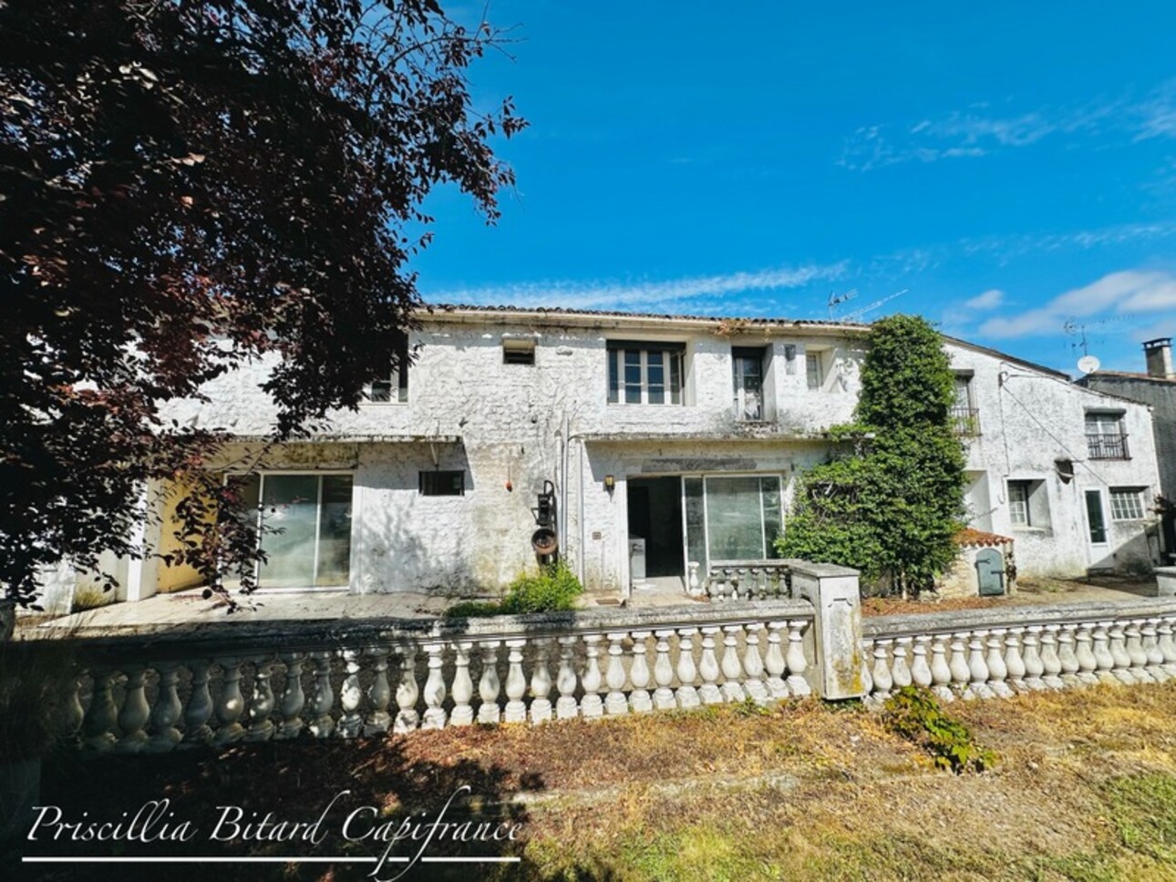 Photos 3 - Touristique - Vaste Propriété à Fort Potentiel