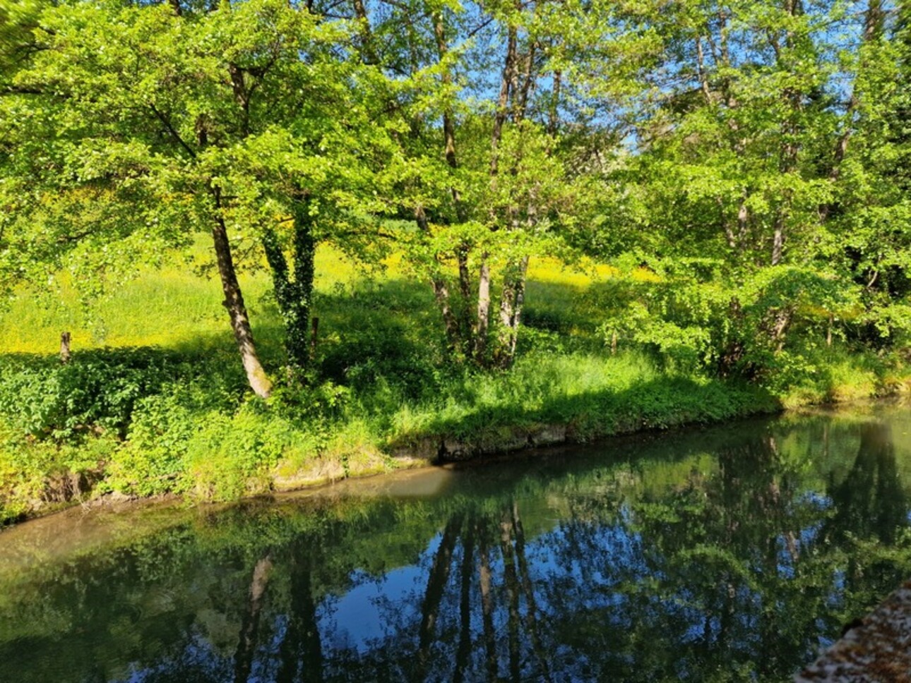 Photos 11 - Tourist - Dpt Vosges (88), for sale near CONTREXEVILLE rare MOULIN on 2 hectares of land - to discover!