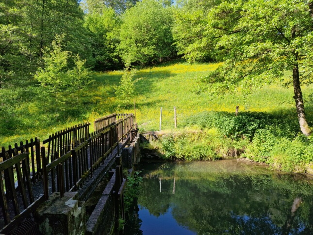 Photos 20 - Tourist - Dpt Vosges (88), for sale near CONTREXEVILLE rare MOULIN on 2 hectares of land - to discover!