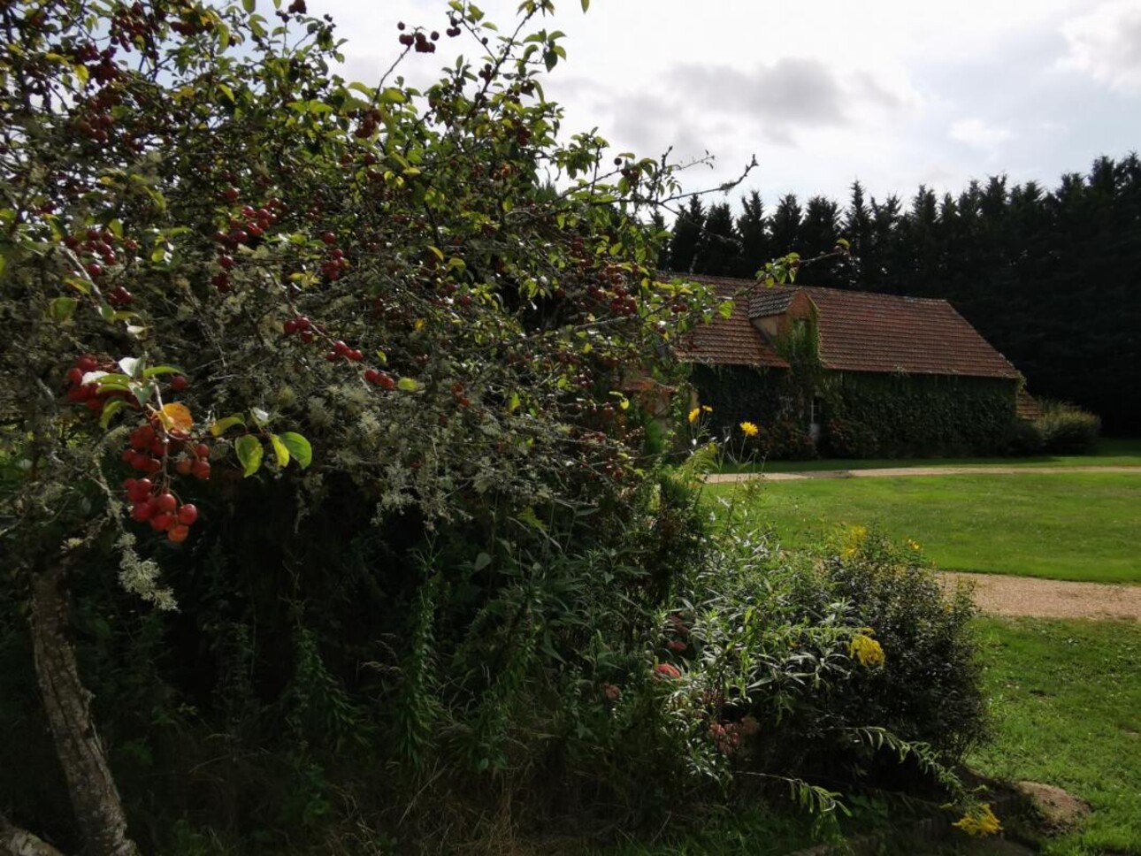 Photos 6 - Forest - PROPRIÉTÉ DE 9.5HA AVEC ÉTANG