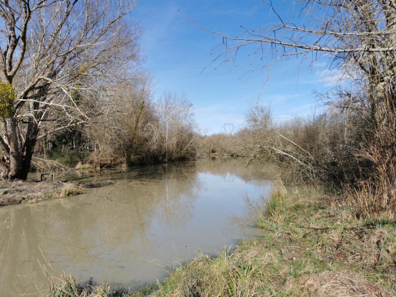 Photos 8 - Forest - PROPRIÉTÉ DE 9.5HA AVEC ÉTANG