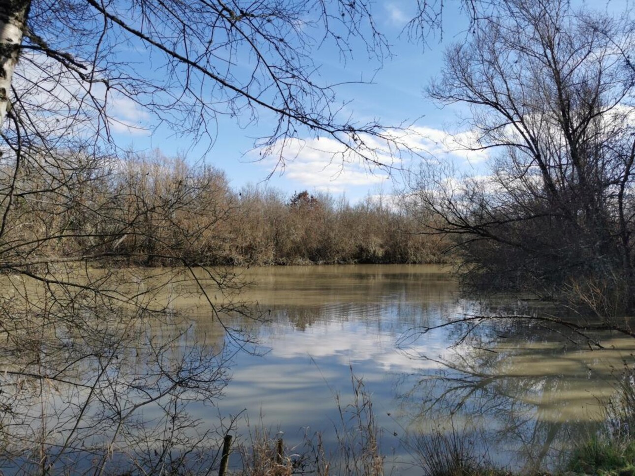 Photos 10 - Forest - PROPRIÉTÉ DE 9.5HA AVEC ÉTANG