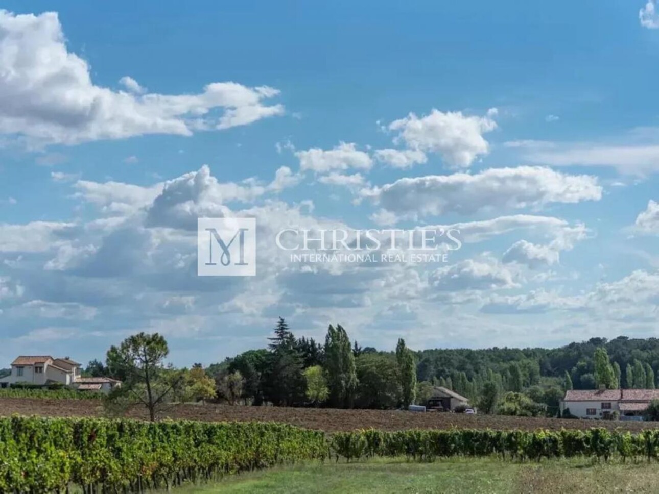 Photos 8 - Viticole - Magnifique domaine viticole à vendre clé en main avec stock de vin - Côtes de Duras