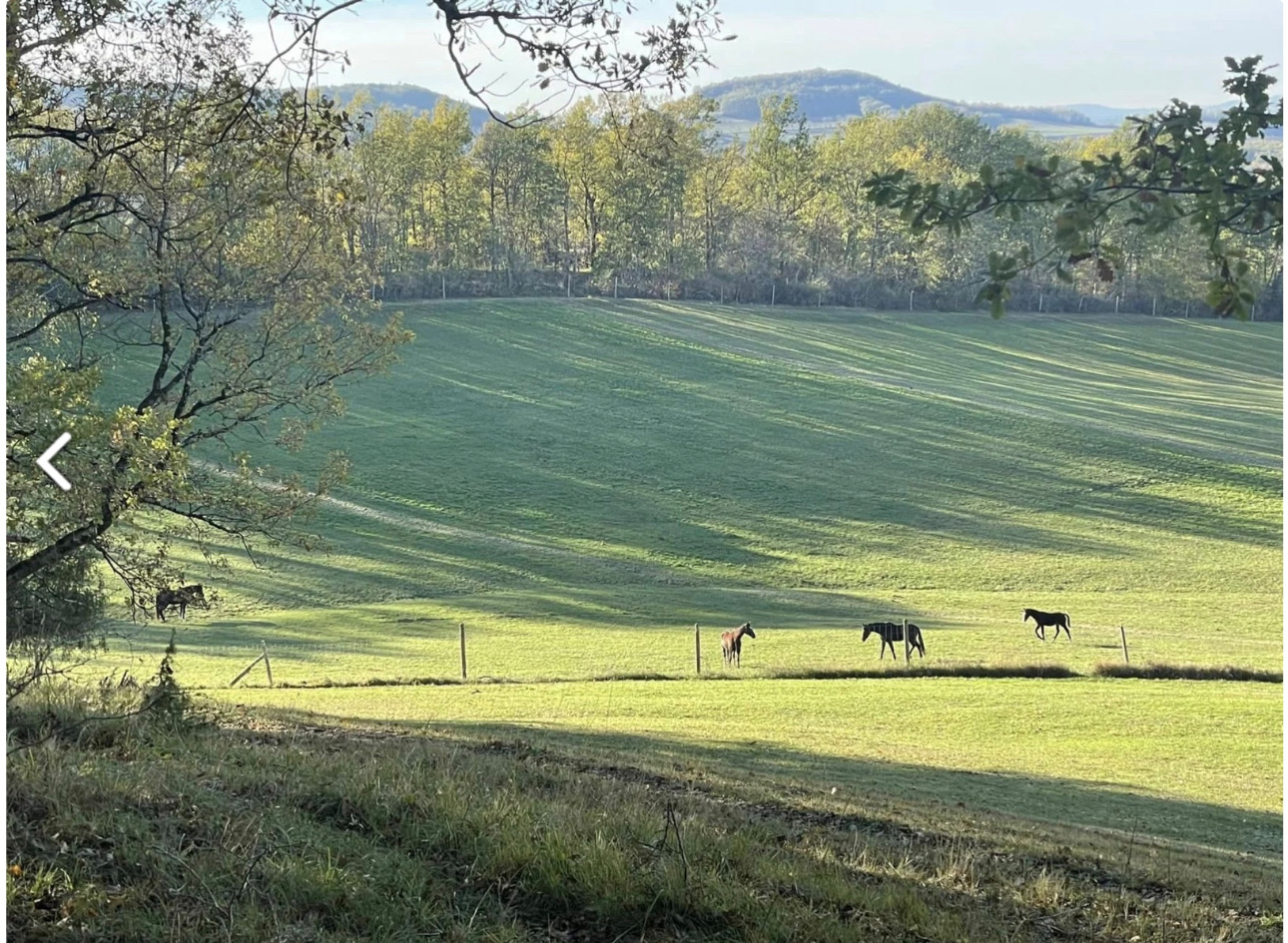 Photos 13 - Agricole - La Baronnie, Domaine clos, vacances, chevaux, chasse, quad