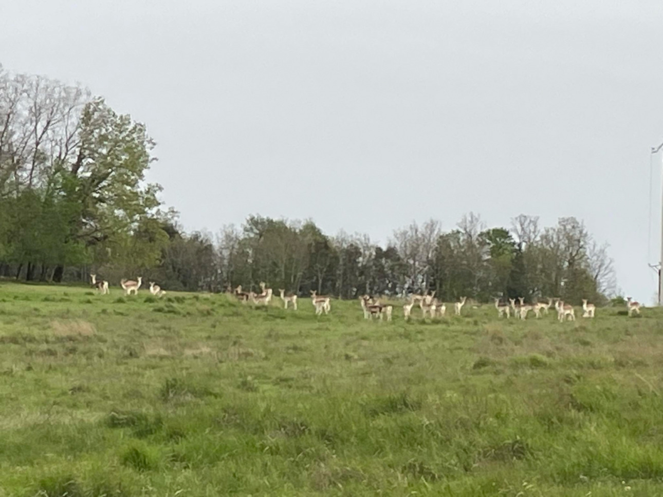 Photos 18 - Agricultural - La Baronnie, Domaine clos, vacances, chevaux, chasse, quad