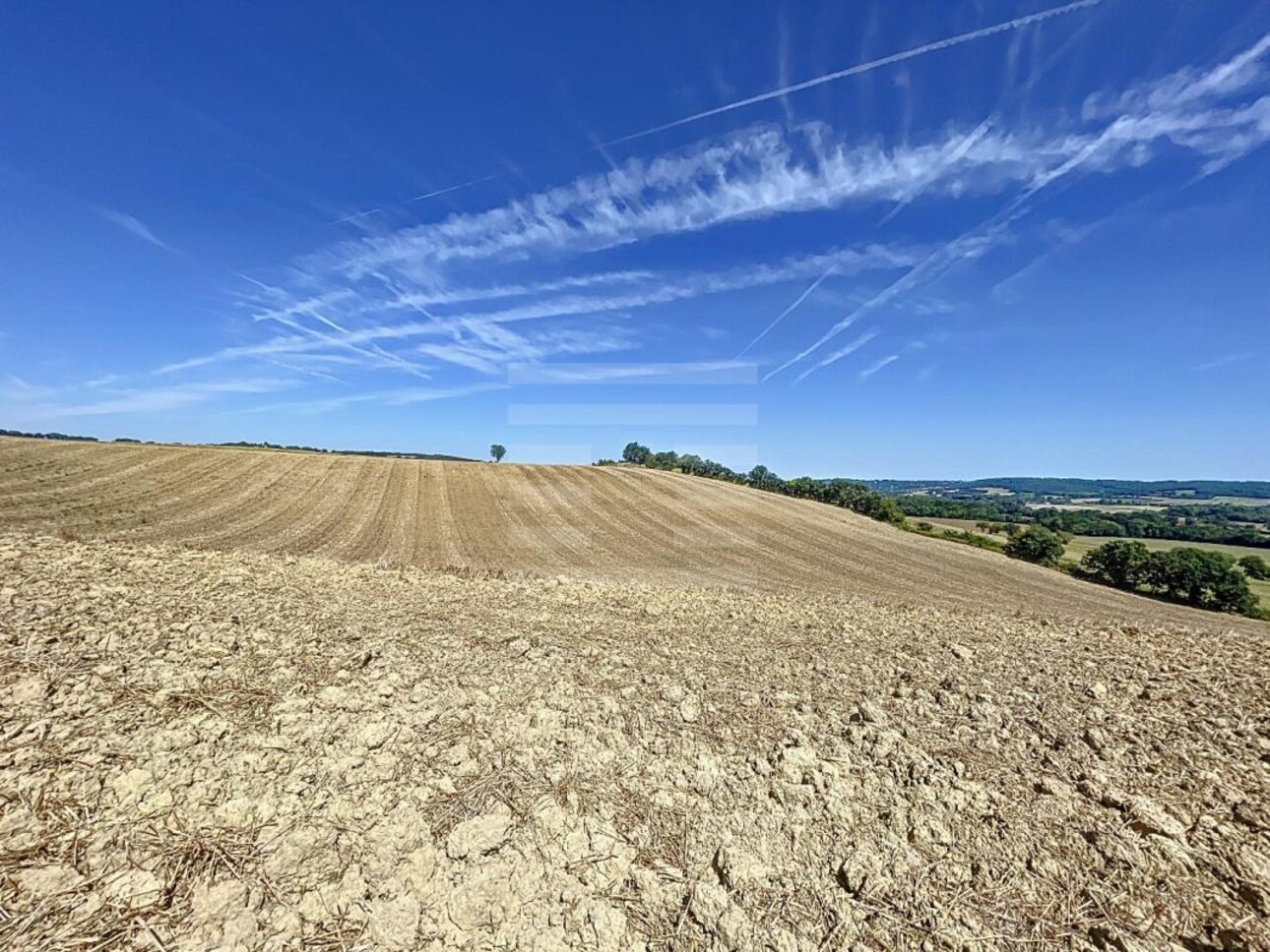 Photos 2 - Agricole - Terrain agricole