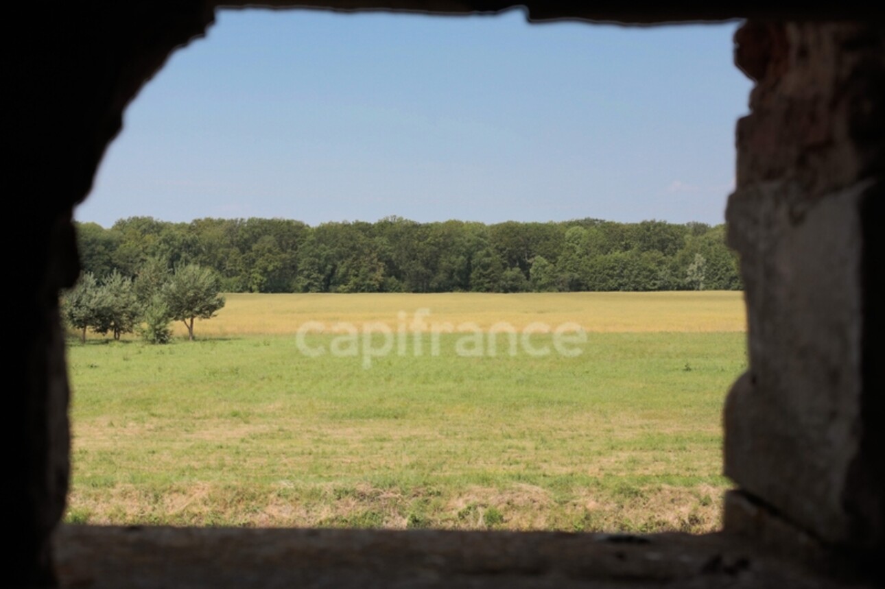 Photos 10 - Prestigious - 16th Century Chateau in the Heart of Burgundy to Restore - Ideal for Investors