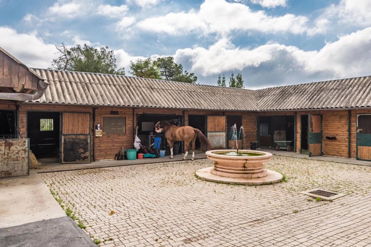 Photos 17 - Equestrian - House