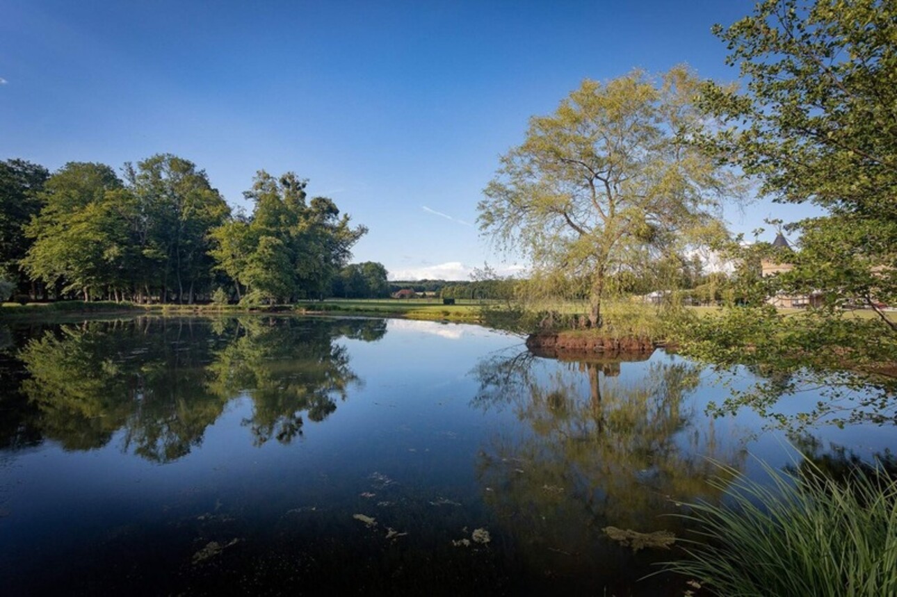 Photos 5 - Équestre - Dpt Ardennes (08), à vendre DONCHERY propriété T55 de 7300 m² - Terrain de 80 hectares