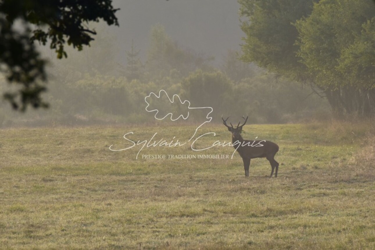 Photos 1 - Forestière - Domaine d'exception de Chasse et d'Agrément - Maison de Maître - Pavillon Chasse - Maison de Gardien - Maison d'Amis - Ferme - Dépendances - Etangs - Forêt