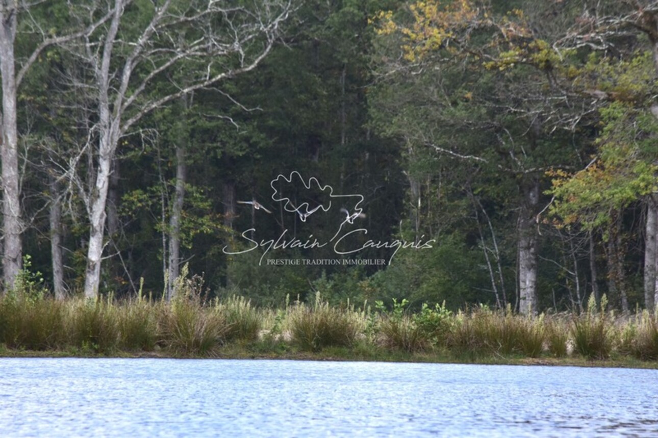 Photos 2 - Forestière - Domaine d'exception de Chasse et d'Agrément - Maison de Maître - Pavillon Chasse - Maison de Gardien - Maison d'Amis - Ferme - Dépendances - Etangs - Forêt