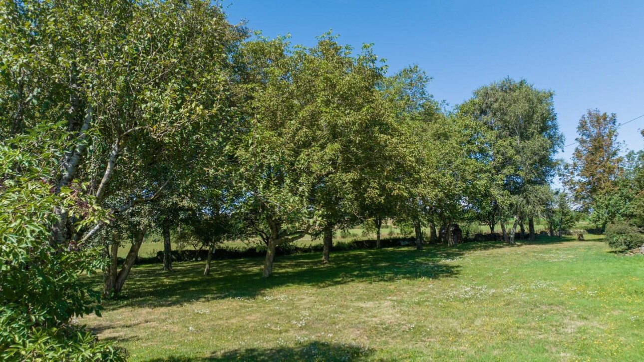 Photos 2 - Tourist - Farm with outbuildings