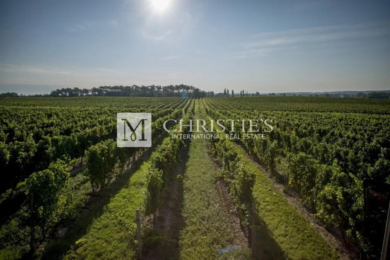 Photos 1 - Viticole - Magnifique domaine viticole à vendre clé en main avec stock de vin - Côtes de Duras