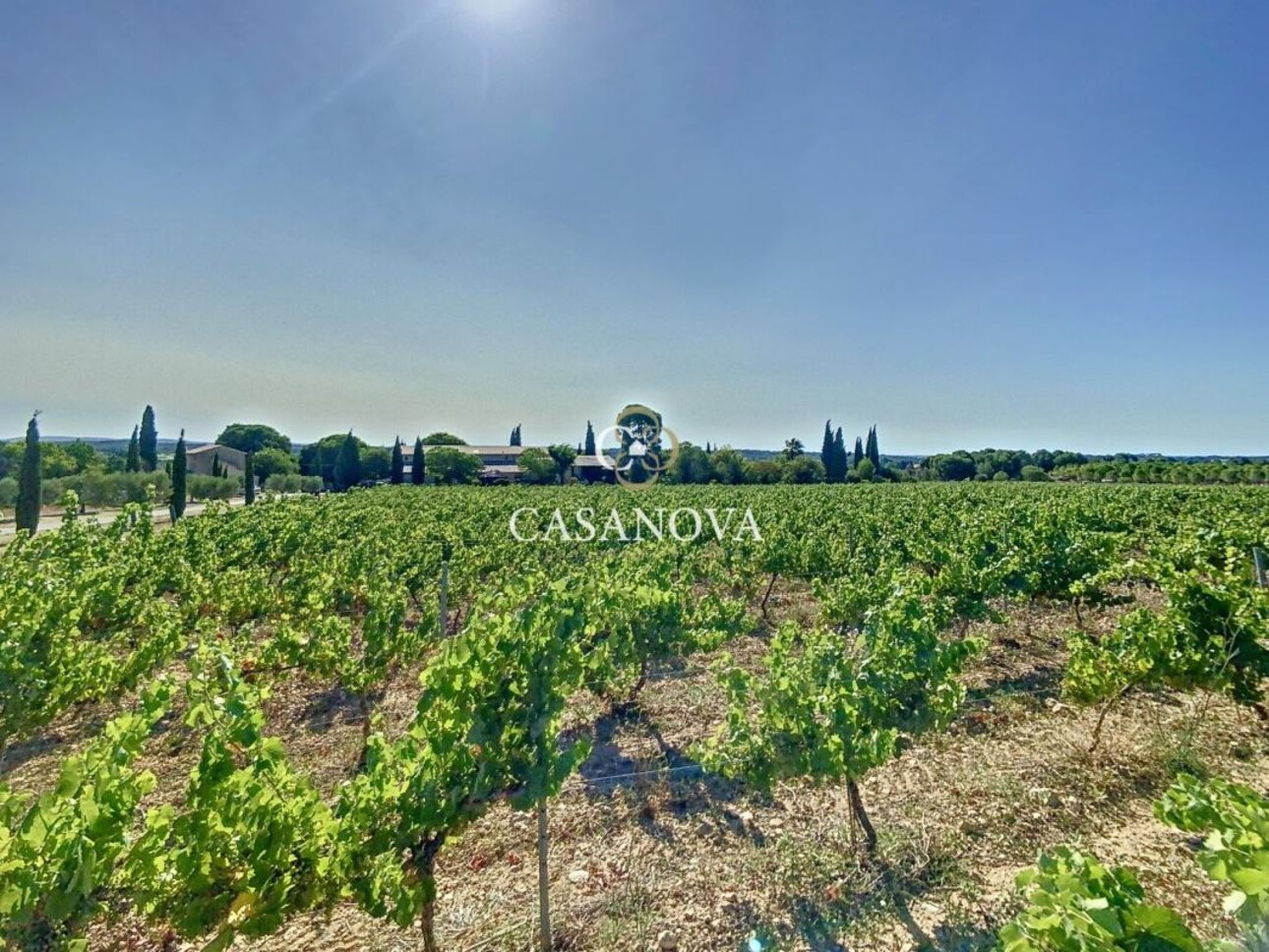 Photos 2 - Tourist - Provençal (farm)house