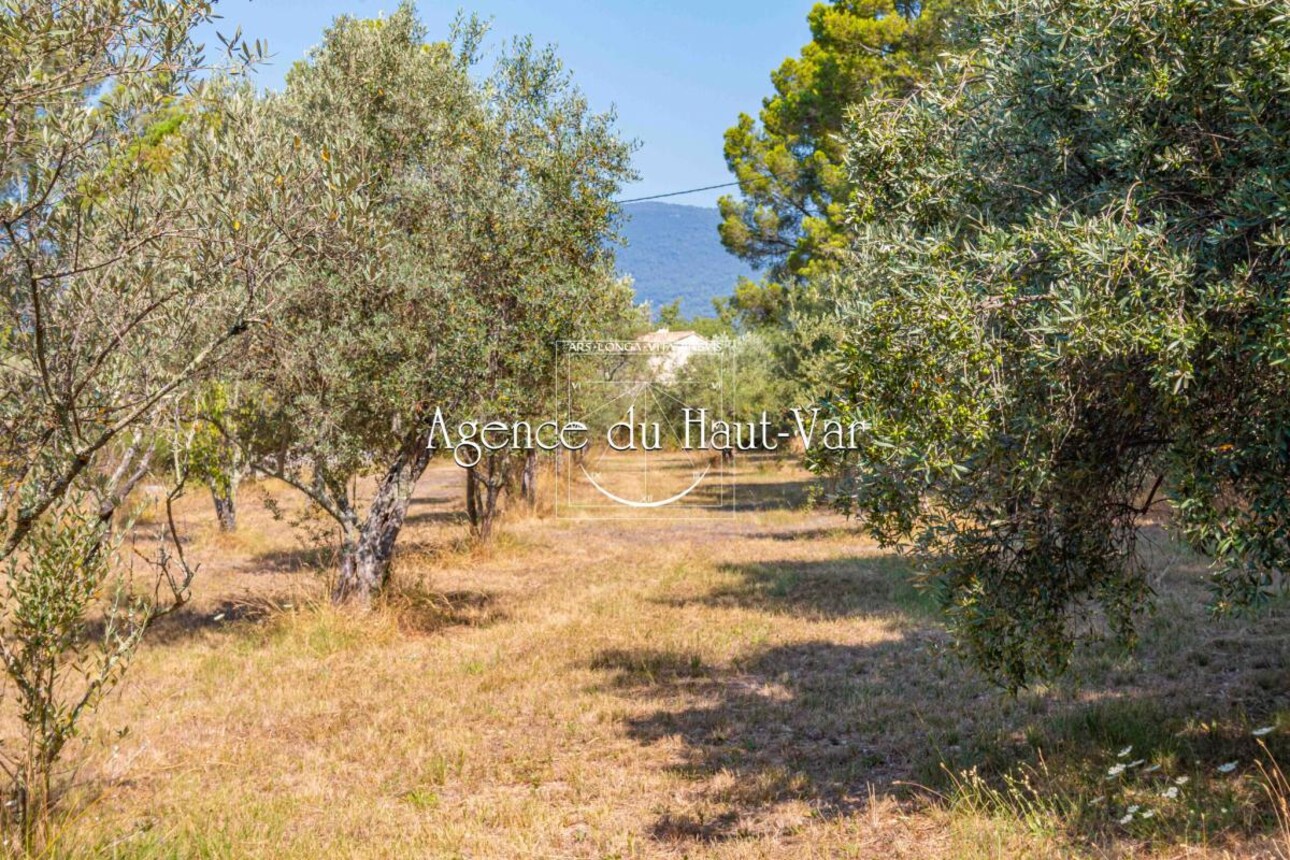 Photos 16 - Prestige - Vignes et oliviers autour d'une Bastide 17eme siècle, maison