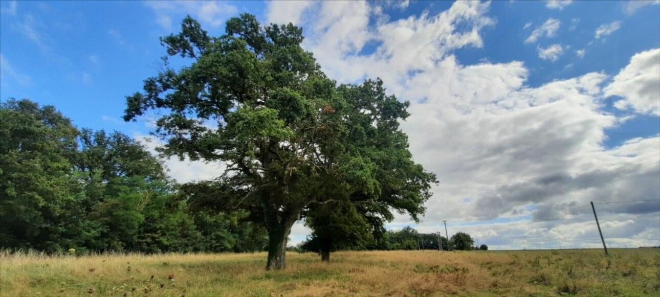 Photos 13 - Agricole - EXCLUSIF Propriété Agricole Nord Indre