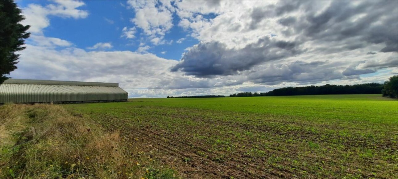 Photos 17 - Agricole - EXCLUSIF Propriété Agricole Nord Indre