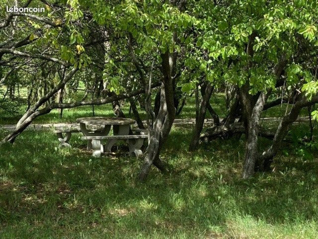 Photos 4 - Touristique - Propriété avec  terrain Idéal pour chambres d'hôtes