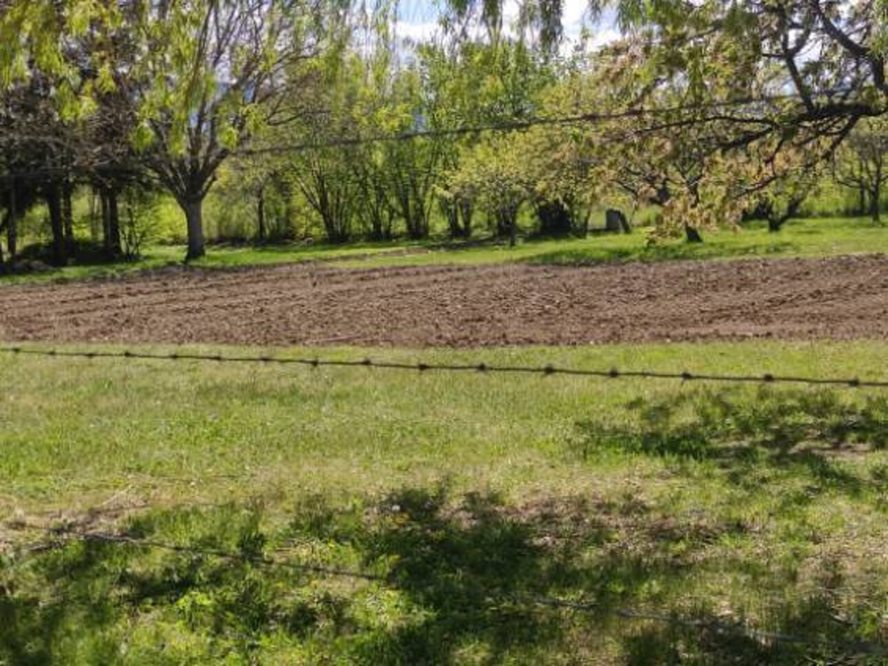 Photos 11 - Touristique - Propriété avec  terrain Idéal pour chambres d'hôtes