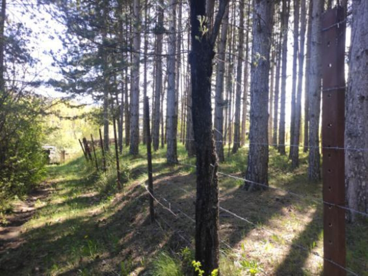 Photos 17 - Touristique - Propriété avec  terrain Idéal pour chambres d'hôtes