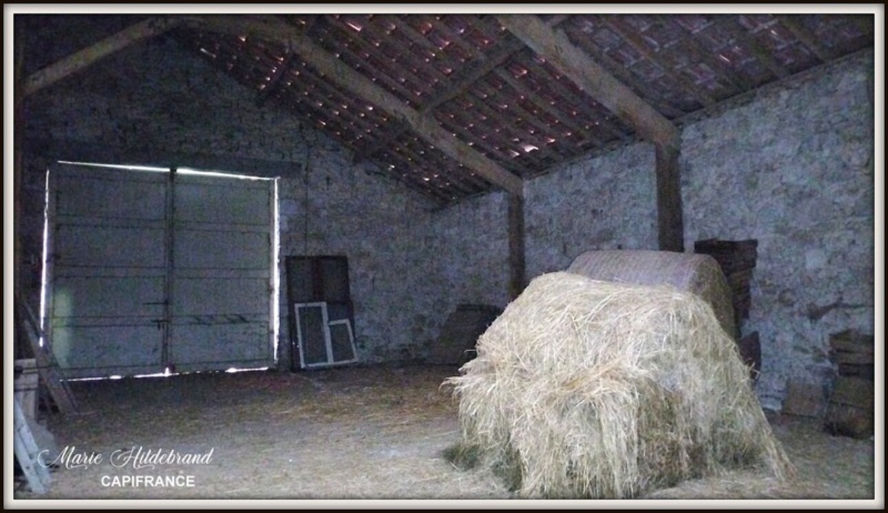 Photos 18 - Agricultural - Property of more than 170m² - 4 bedrooms - outbuildings and 40 hectares of agricultural land