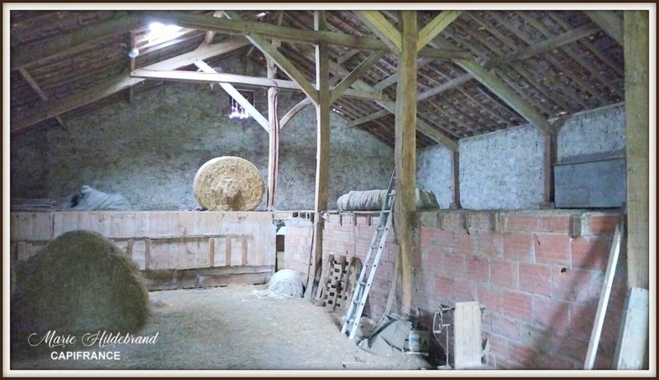 Photos 19 - Agricultural - Property of more than 170m² - 4 bedrooms - outbuildings and 40 hectares of agricultural land