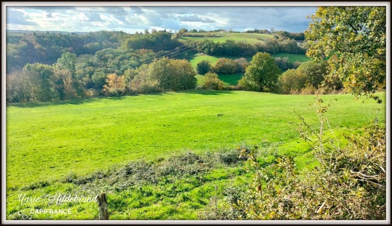 Photos 22 - Agricultural - Property of more than 170m² - 4 bedrooms - outbuildings and 40 hectares of agricultural land