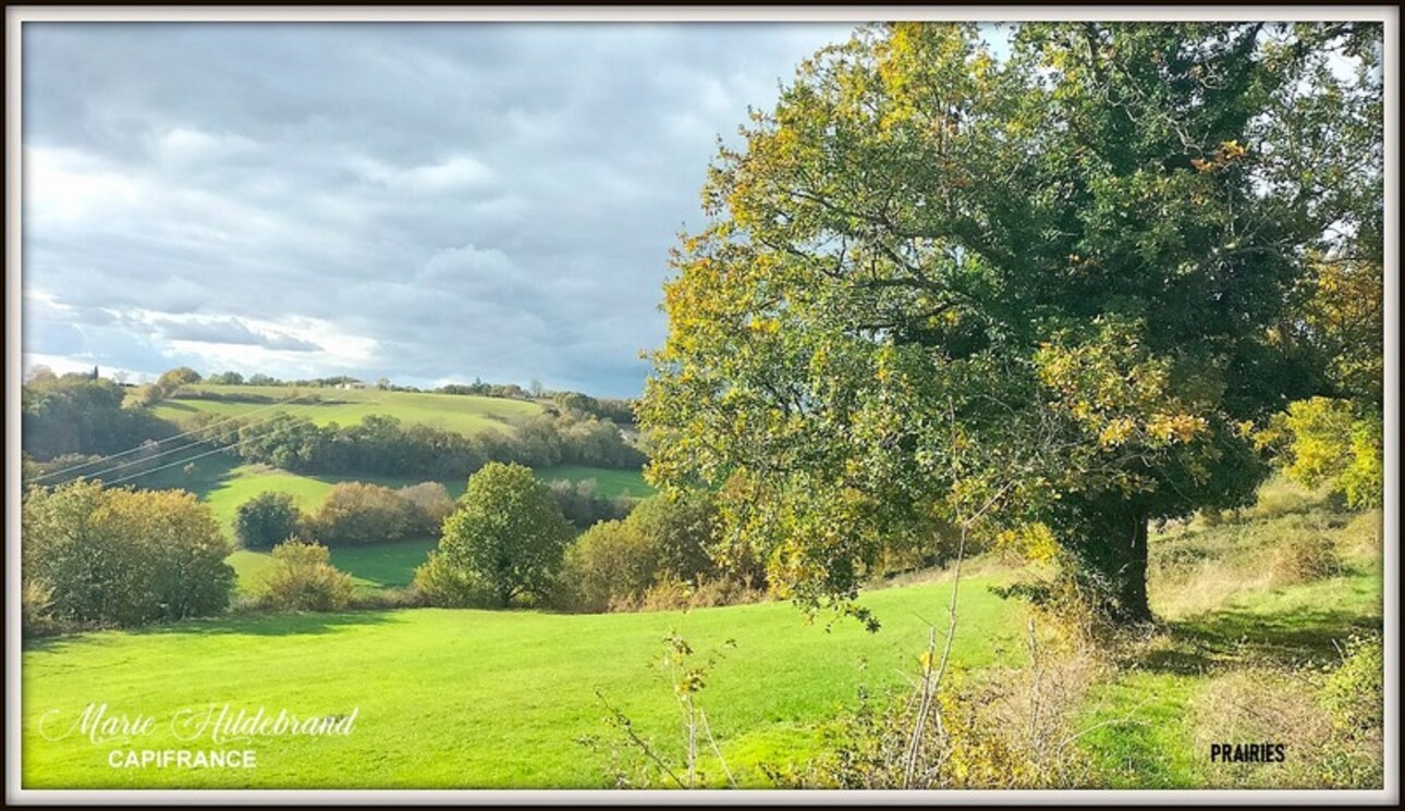 Photos 23 - Agricultural - Property of more than 170m² - 4 bedrooms - outbuildings and 40 hectares of agricultural land