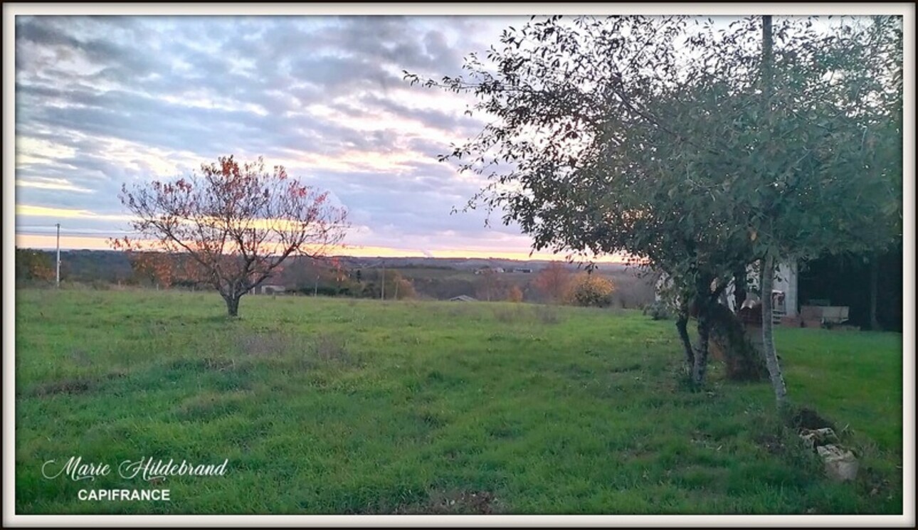 Photos 24 - Agricultural - Property of more than 170m² - 4 bedrooms - outbuildings and 40 hectares of agricultural land