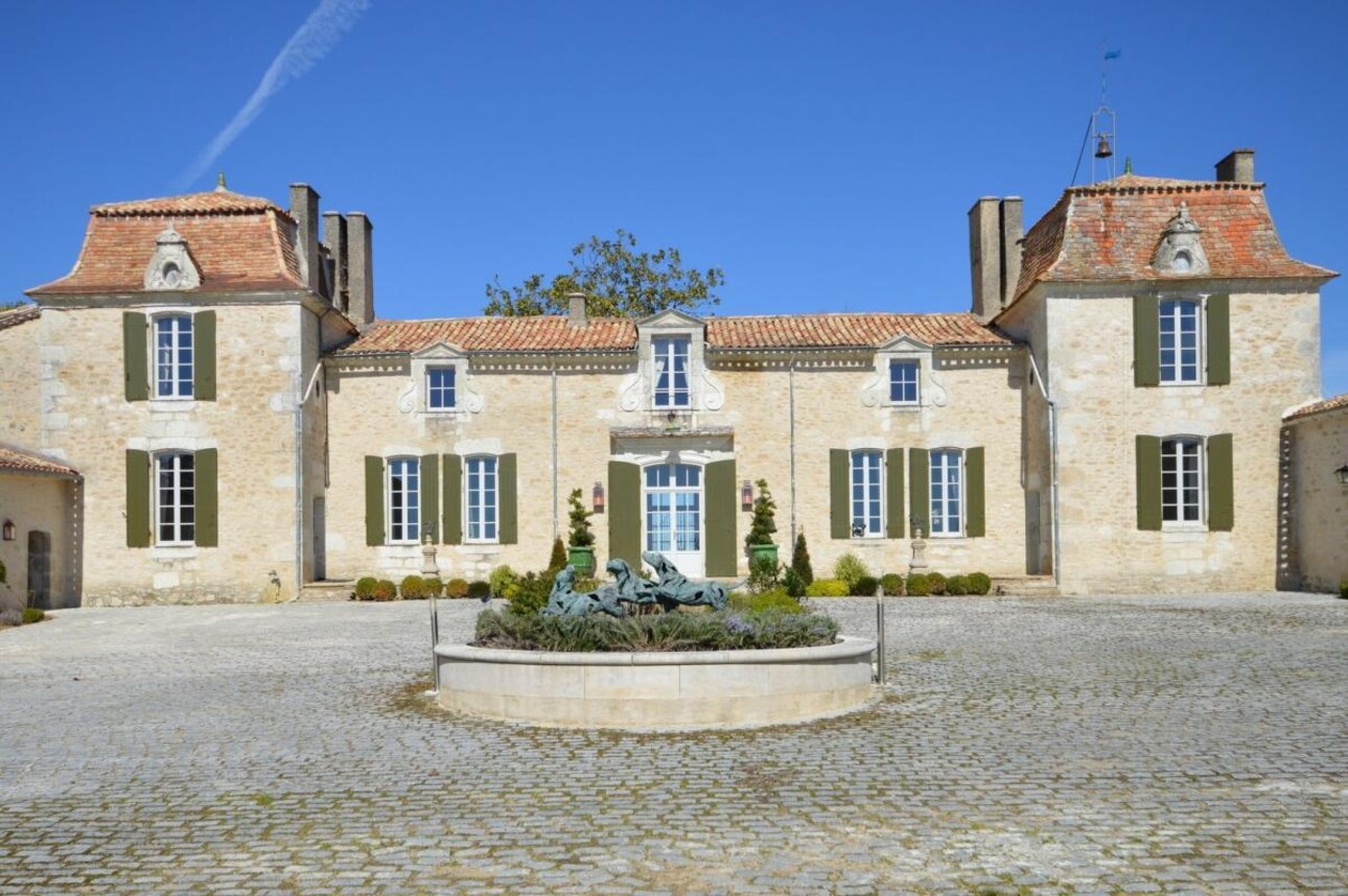 Photos 1 - Vineyard - Sumptuous Chartreuse estate & hobby vineyard near St Emilion