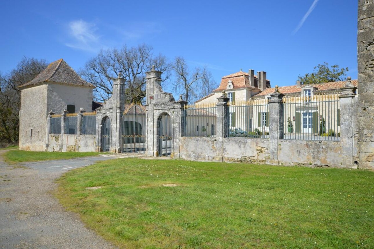 Photos 3 - Vineyard - Sumptuous Chartreuse estate & hobby vineyard near St Emilion