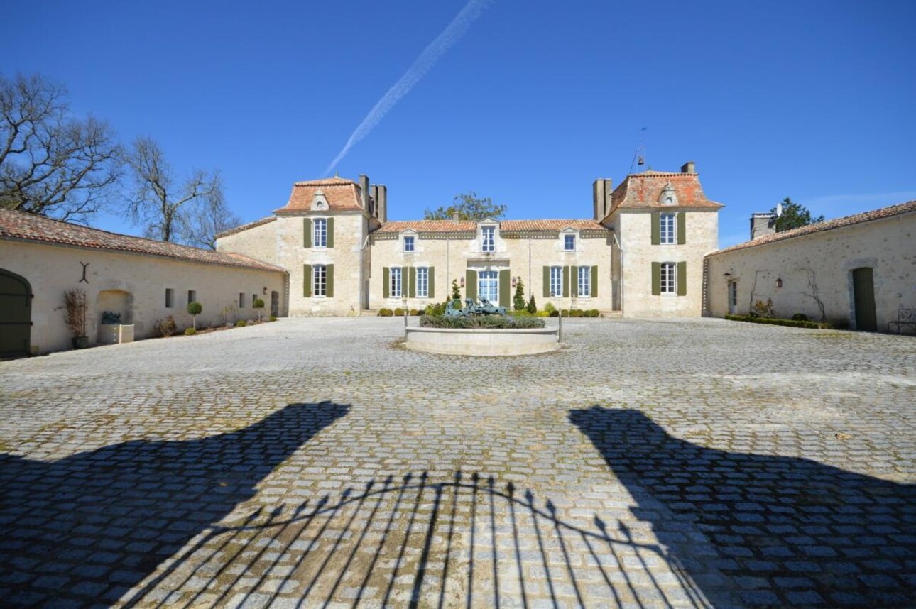 Photos 4 - Vineyard - Sumptuous Chartreuse estate & hobby vineyard near St Emilion