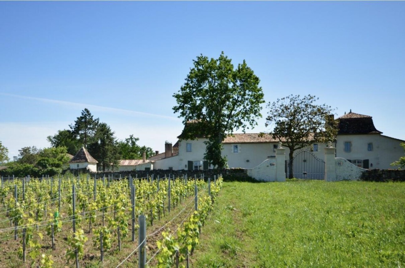 Photos 5 - Viticole - Somptueuse Chartreuse avec vignoble près de St Emilion