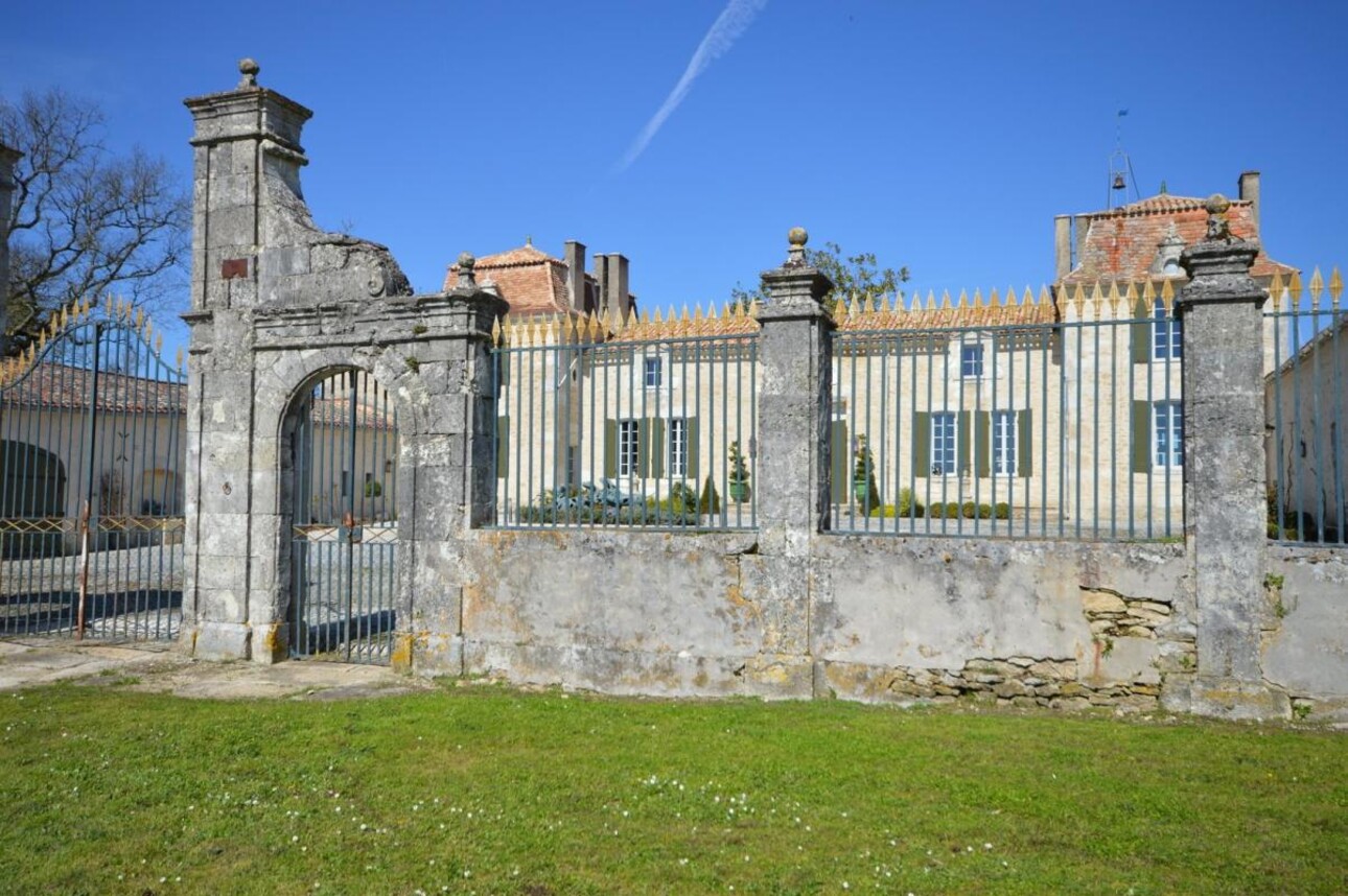 Photos 8 - Vineyard - Sumptuous Chartreuse estate & hobby vineyard near St Emilion