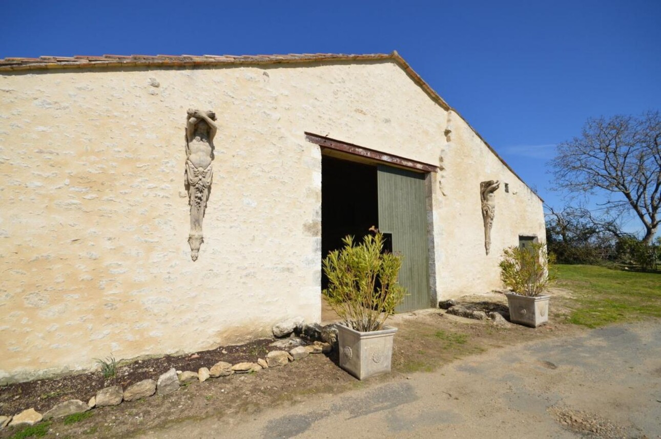 Photos 10 - Vineyard - Sumptuous Chartreuse estate & hobby vineyard near St Emilion