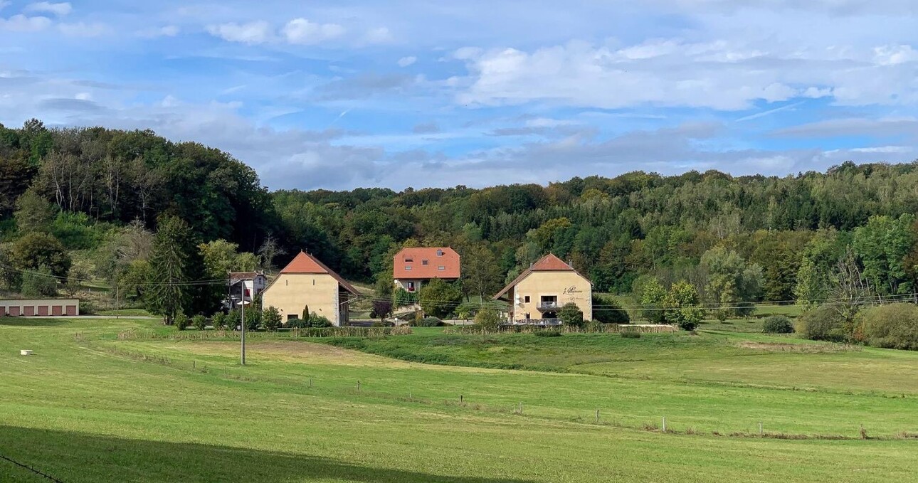 Photos 1 - Prestigious - Domaine de 54 ha à 5 min de Montbéliard