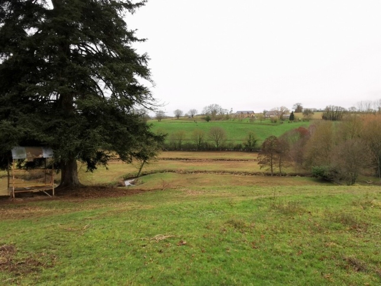 Photos 8 - Equestrian - Dpt Sarthe (72), à vendre CONFLANS SUR ANILLE propriete P3 de 63 m² - Terrain de 30 000,00 m²