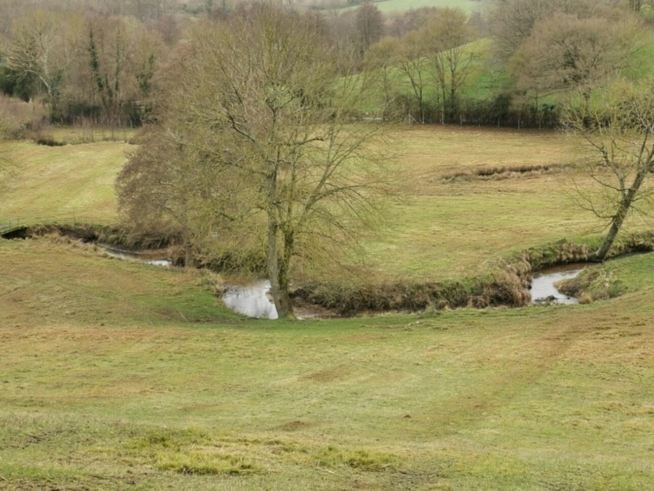 Photos 15 - Equestrian - Dpt Sarthe (72), à vendre CONFLANS SUR ANILLE propriete P3 de 63 m² - Terrain de 30 000,00 m²